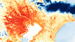 Tokyo Temperature August 2019