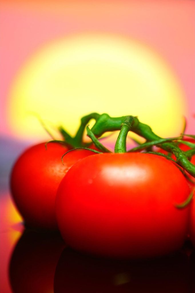 Tomatoes Sunrise