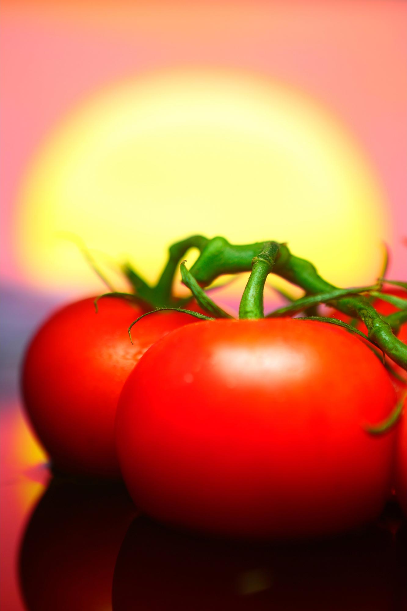 Científicos crean tomates genéticamente modificados para aumentar la vitamina D