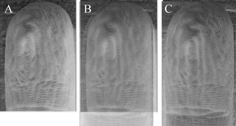 Your Fingers Wrinkle in the Same Pattern Every Time