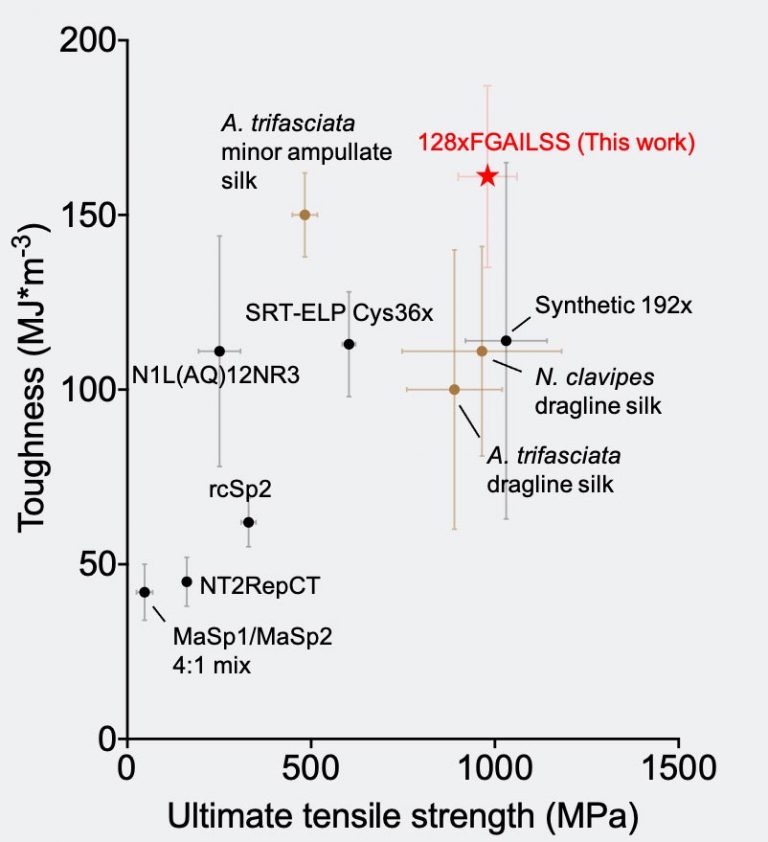 Incredible Fibers Produced by Engineered Bacteria Stronger Than Steel