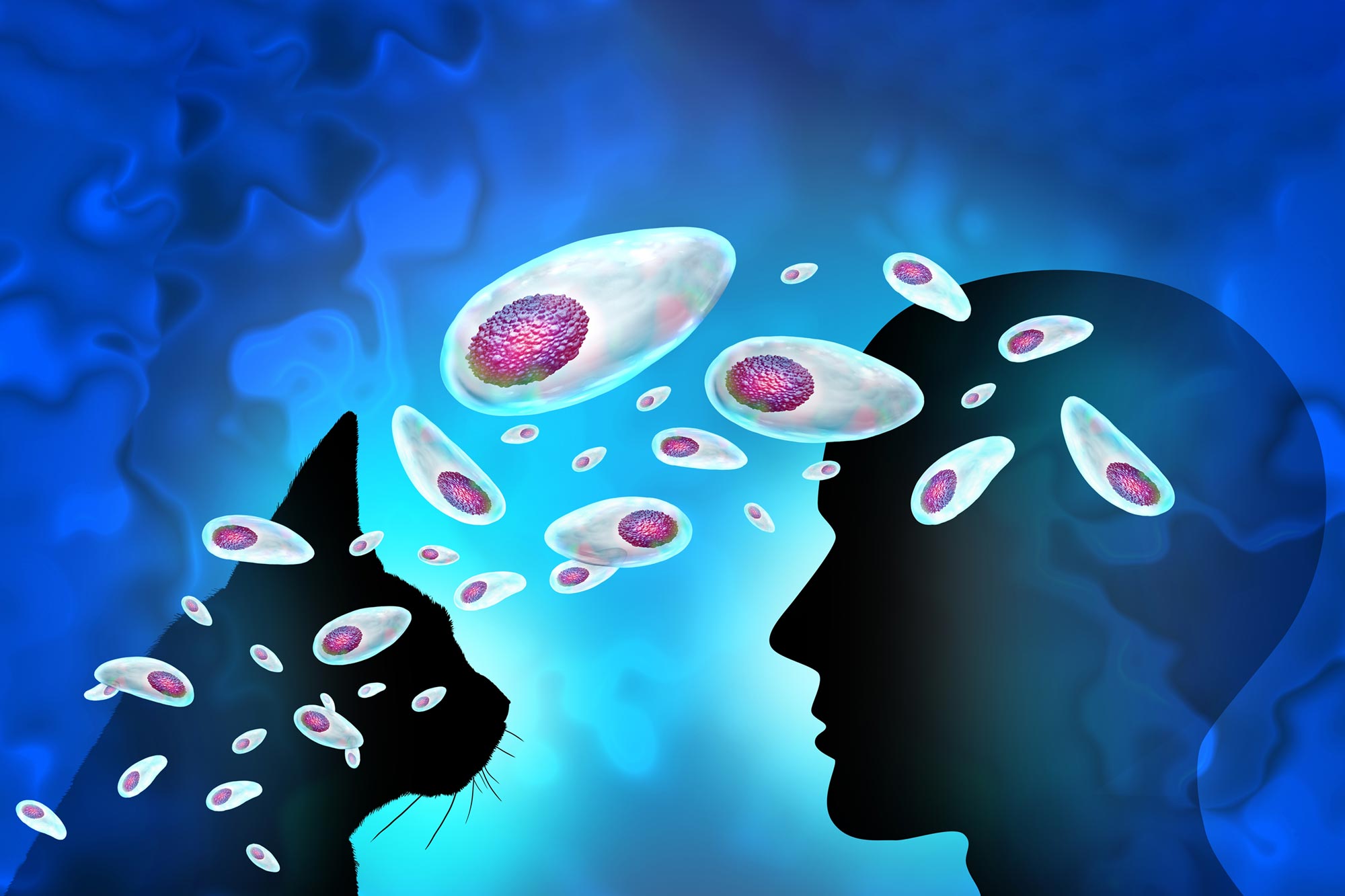 A Parasite Carried by Billions Has a Secret Life Inside the Brain - SciTechDaily