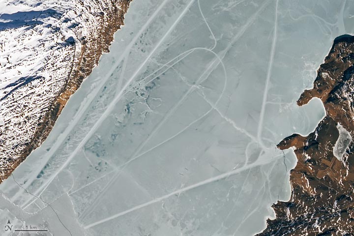 Tracks Criss-Cross an Icy Fjord Close Up