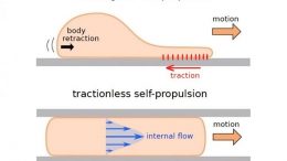 Tractionless Self Propulsion