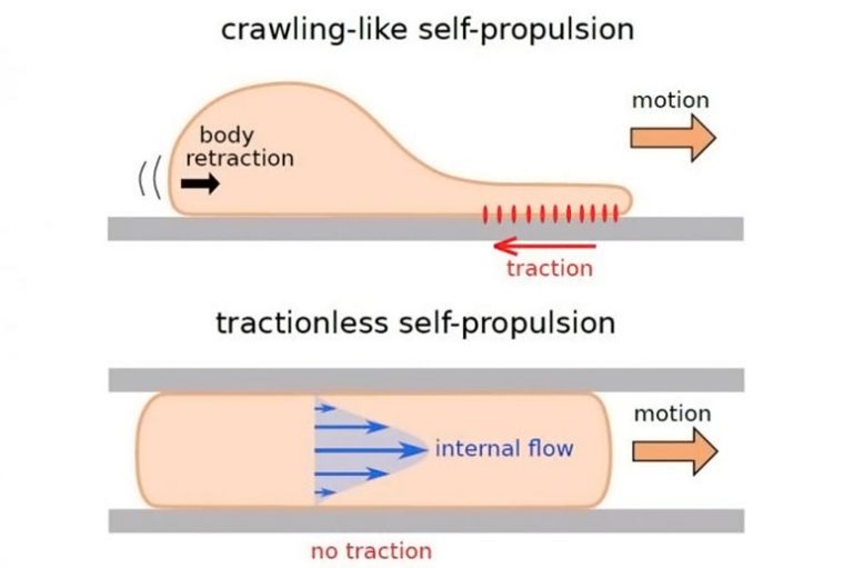 Discovery Reveals Tractionless SelfPropulsion Is Possible