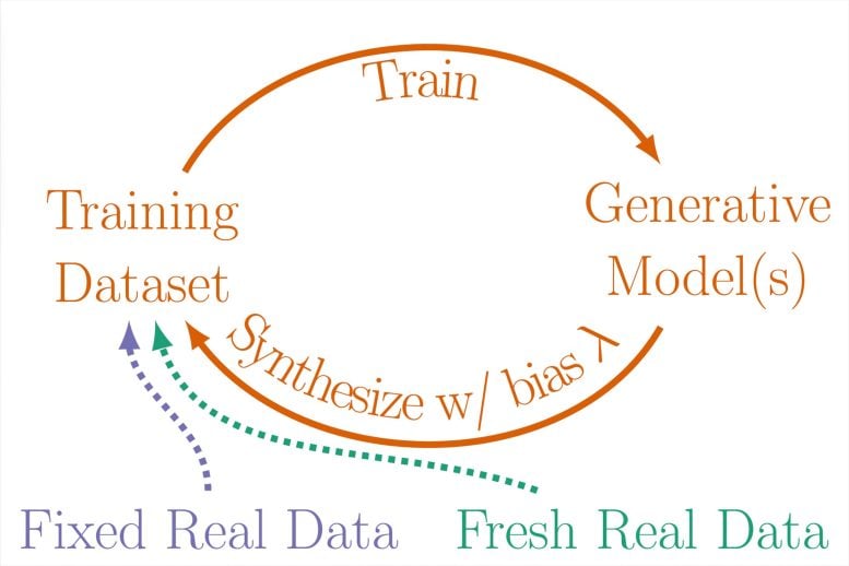 Training Loops Schematic