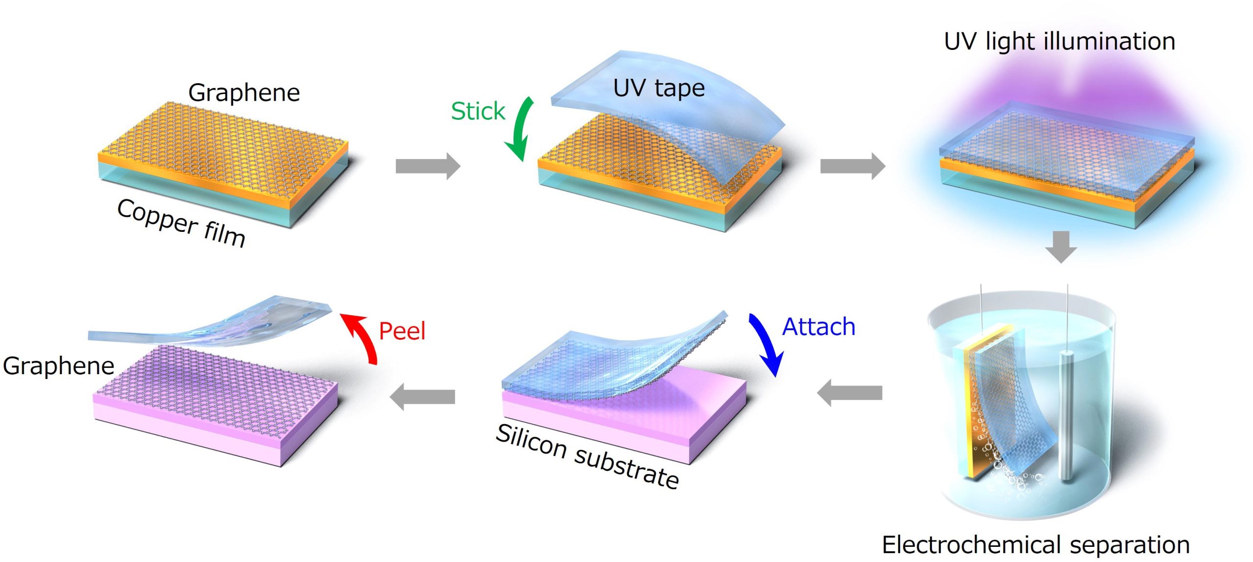 https://scitechdaily.com/images/Transferring-2D-Materials-Using-UV-Tape-scaled.jpg