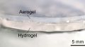 Transparent Hydrogel-Aerogel Cooling Bilayer