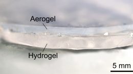 Transparent Hydrogel-Aerogel Cooling Bilayer