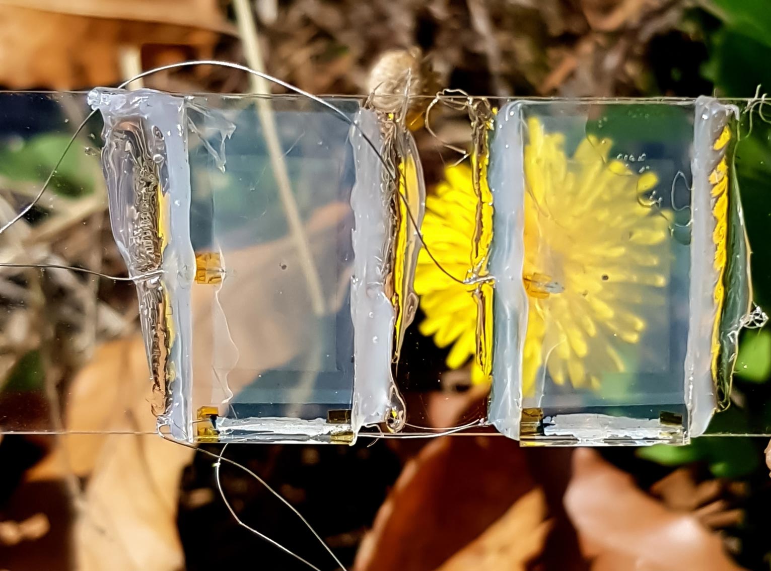 How the windows of tomorrow will generate electricity