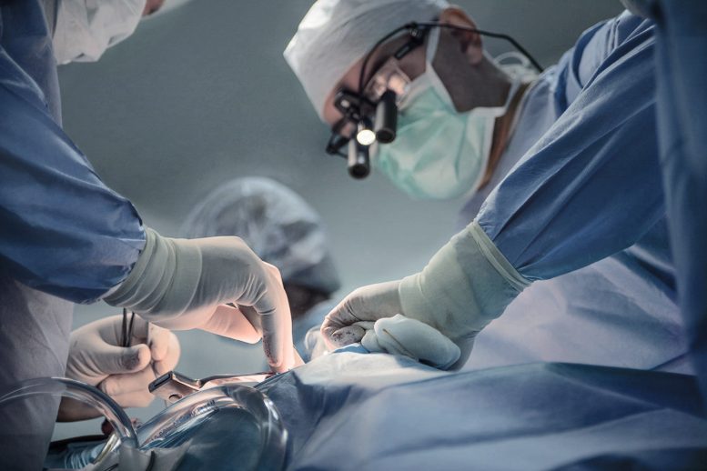 Transplant Organ Surgery