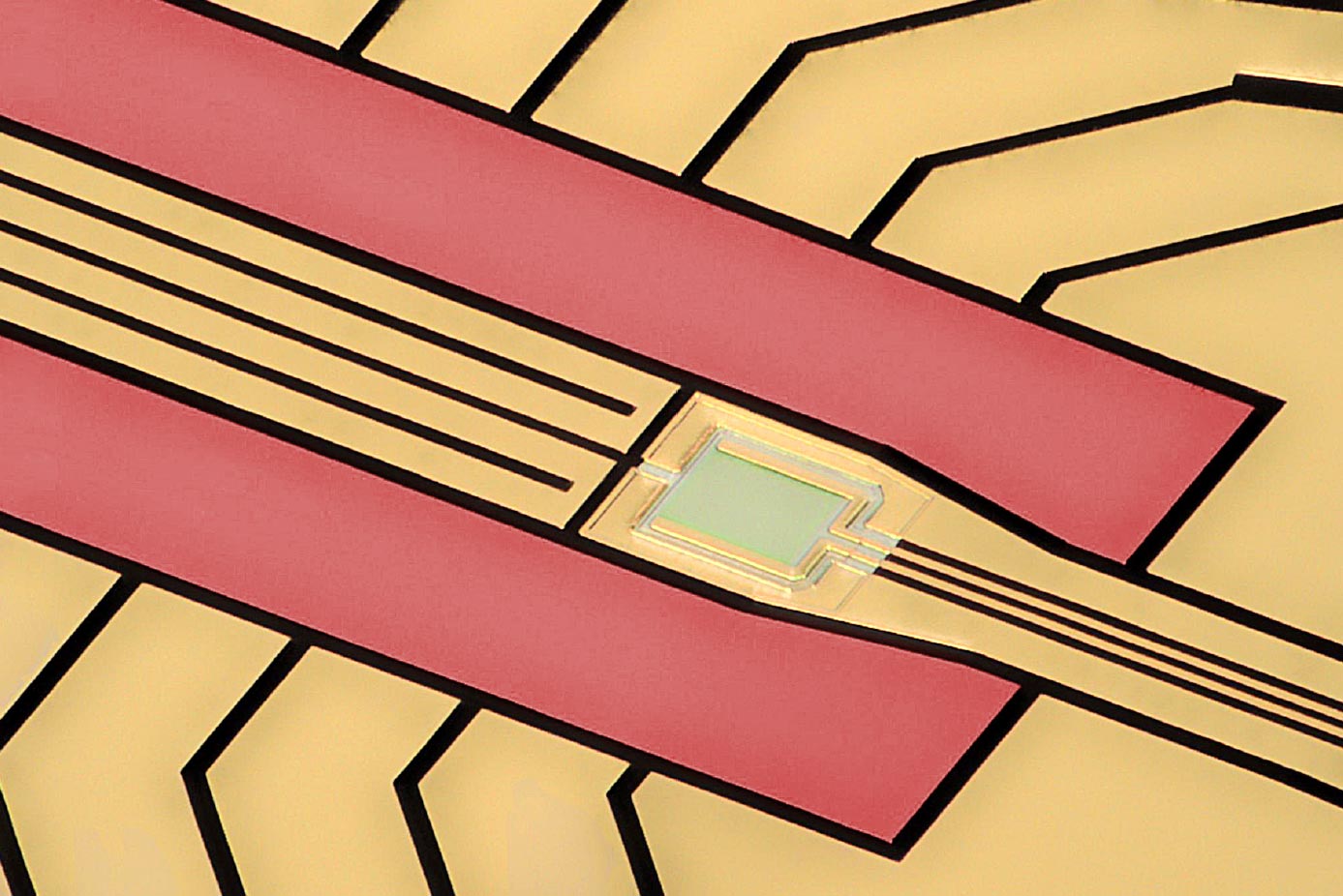 Combined Trap for Ions and Detector for Individual Photons