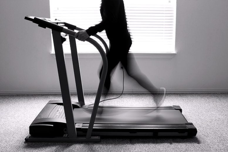 Treadmill Running