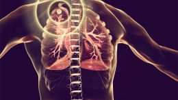 Treatment and Prevention of Tuberculosis