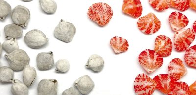 New Research Unravels the Evolutionary Secrets of Ancient Seas