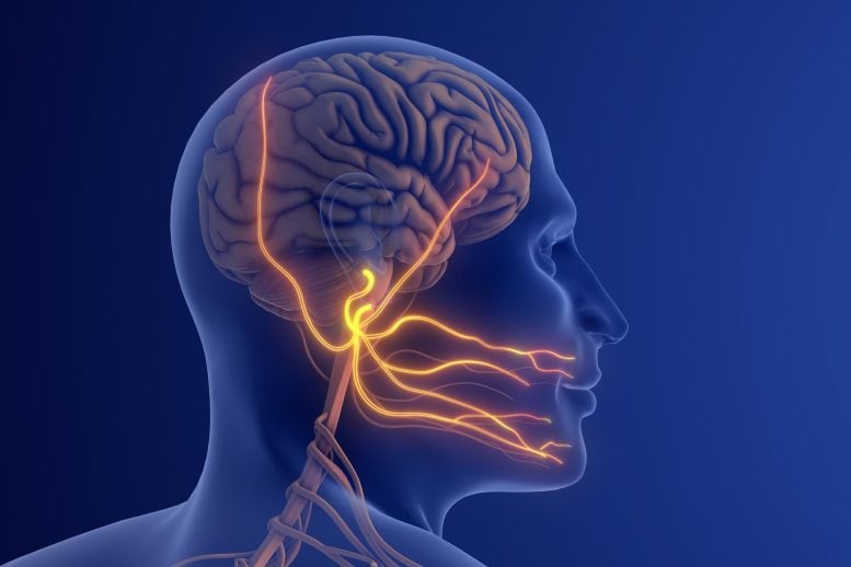 Trigeminal Neuralgia Severe Facial Nerve Pain