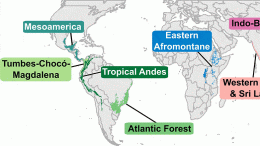 Tropical Biodiversity Hotspots Analyzed