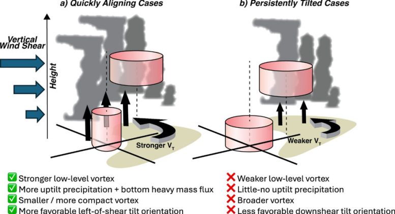 Tropical Cyclone Alignment and Persistent Tilt