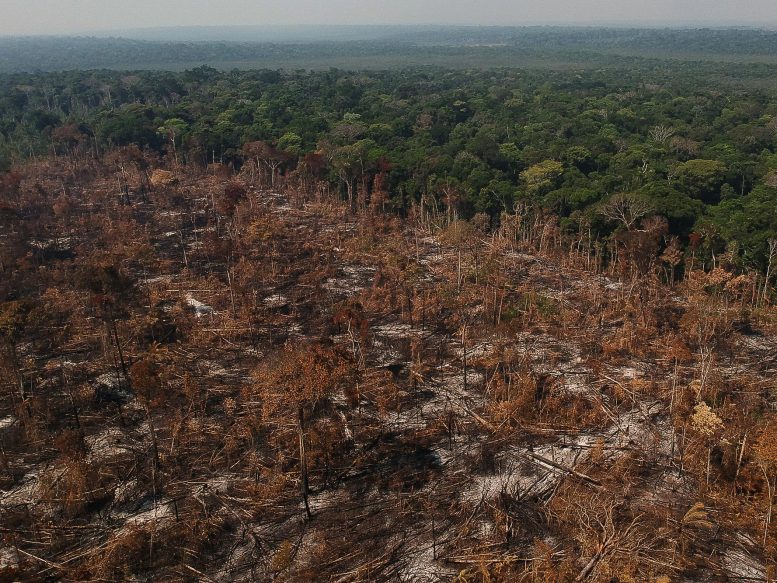Tropical Deforestation Amazon Brazil