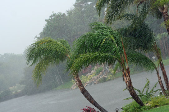 Tropical Storm Fay in 2008
