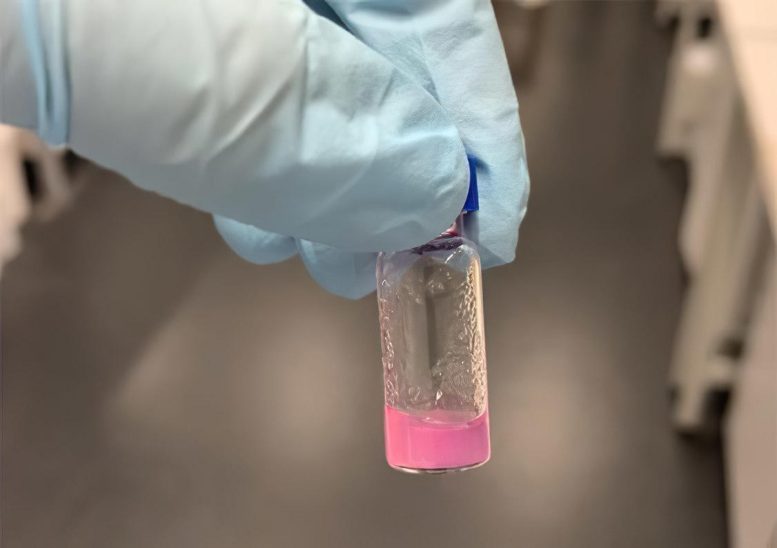 Autocurativo y antimicrobiano: los científicos están desarrollando nuevos materiales que podrían revolucionar el crecimiento del tejido humano