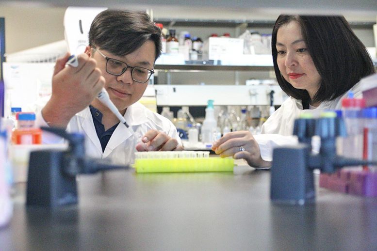 Tuan Anh Nguyen and Thu Thuy Dang