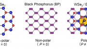 Tungsten Selenide and Black Phosphorus