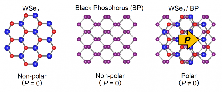 Tungsten Selenide and Black Phosphorus