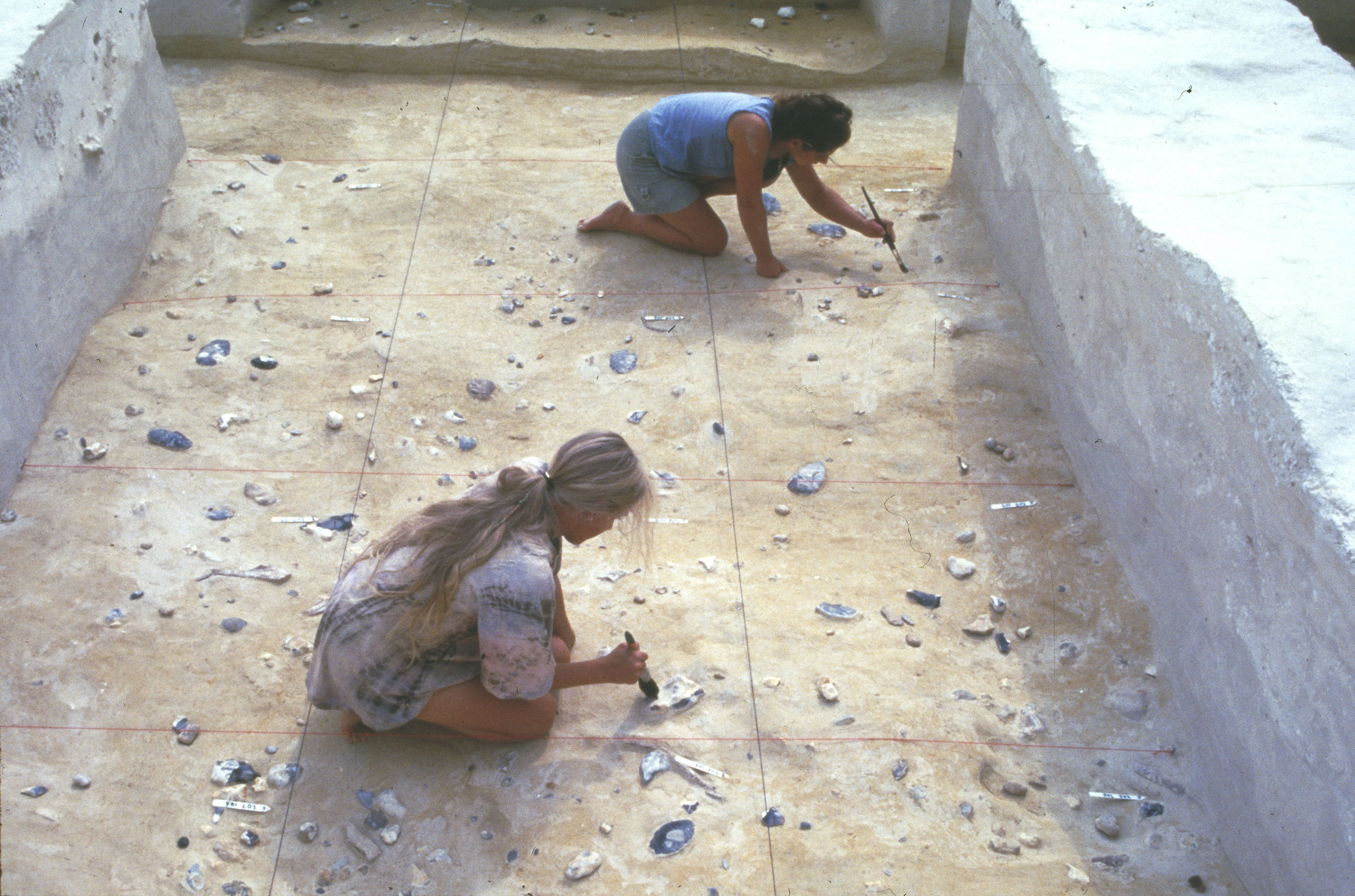 500,000-Year-Old Elephant Bone Tool Reveals Sophisticated Toolmaking Skills
