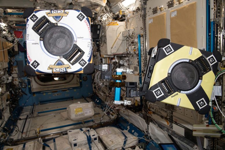 Two Astrobee Free-Flying Robotic Assistants