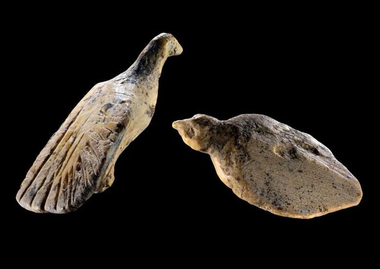Two Bird Figurines Carved From Ivory From the Hohle Fels Cave
