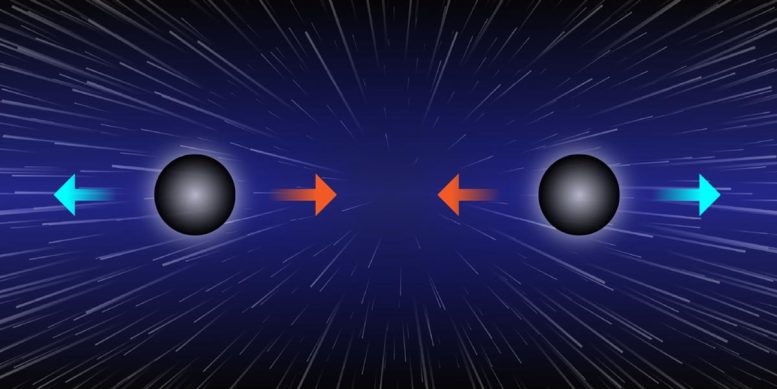 Two Black Holes Held at a Fixed Distance