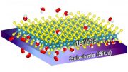 Two-Dimensional Material on a Single-Layer of Tungsten Disulfide