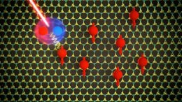 Two-Dimensional Semiconductor Material Exchange Energy