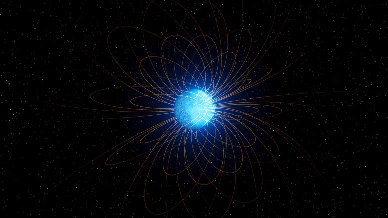 Two-Faced White Dwarf Star Magnetic Fields