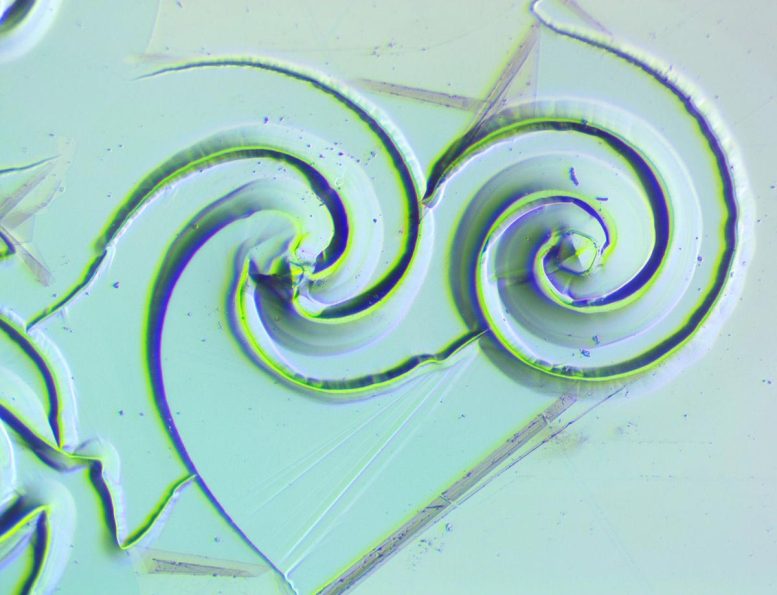 Two Logarithmic Spirals Germanium Chip