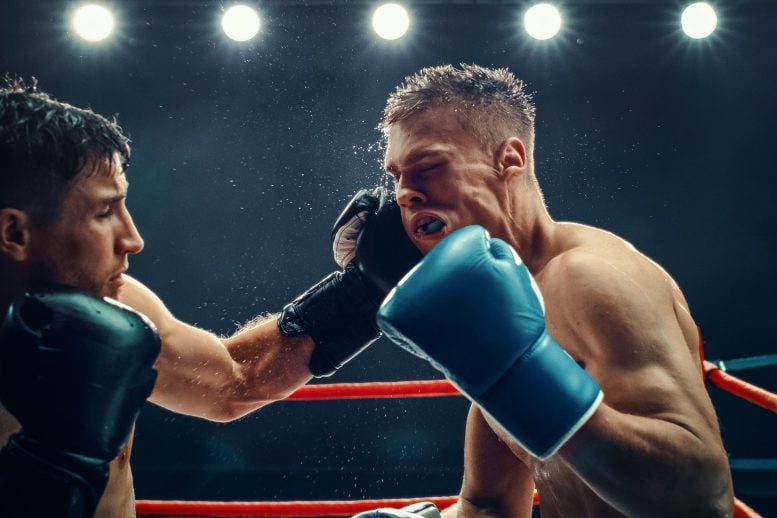 Fighters’ Brains Show a Surprising Cleanup Surge Before Dangerous Collapse