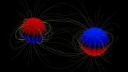 Two Massive Stars with Magnetic Fields in a Binary System Discovered