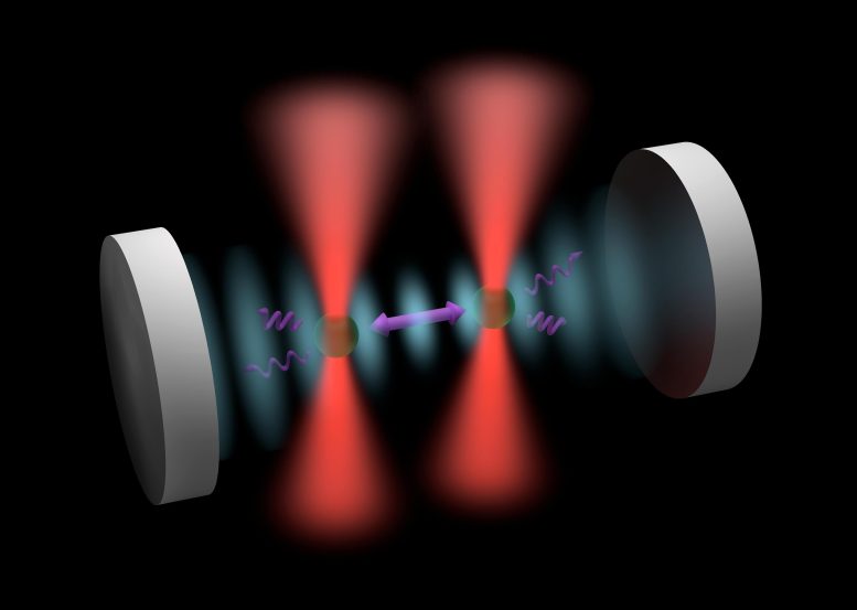 Two Optically Trapped Nanoparticles Are Coupled Together