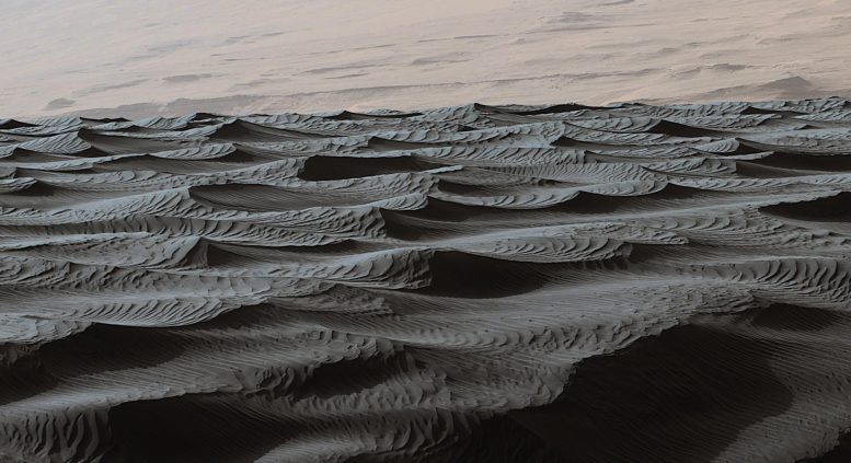 Two Sizes of Ripples on Surface of Martian Sand Dune