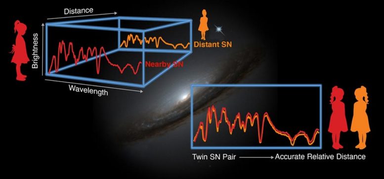 Two Supernovae Spectra