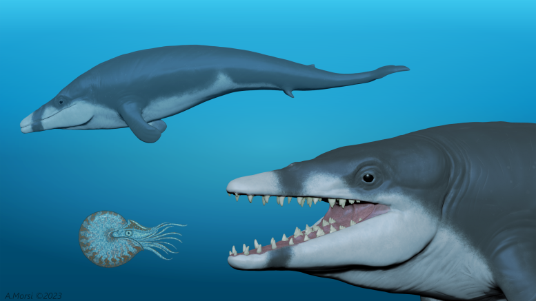 Paleontology News - SciTechDaily