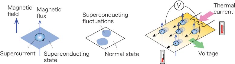 Dois tipos de flutuações em supercondutores