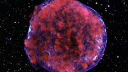 Tycho supernova remnant is the result of a Type Ia supernova explosion