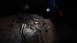 Tyler Faith Examines Elk Bones Inside Skeleton Cave