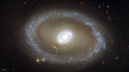 Type II Seyfert Galaxy NGC 3081