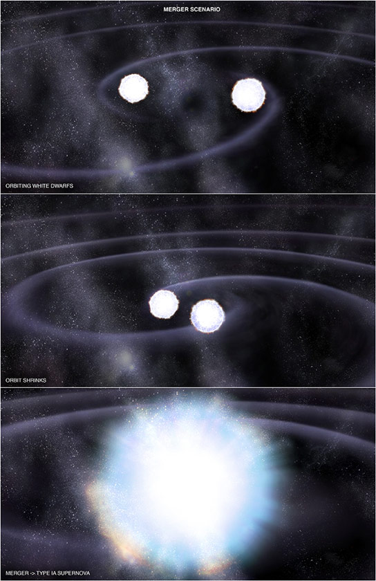 Type Ia Supernovae Stem from the Explosion of White Dwarfs Coupled with Twin Stars