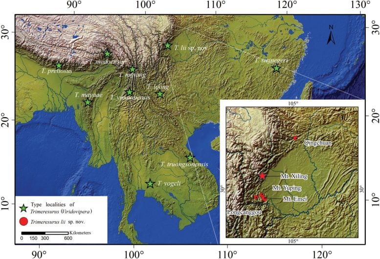 Type Localities of Trimeresurus Viridovipera Species and the Localities of Trimeresurus Lii