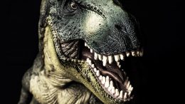 Tyrannosaurus T-Rex Dinosaur