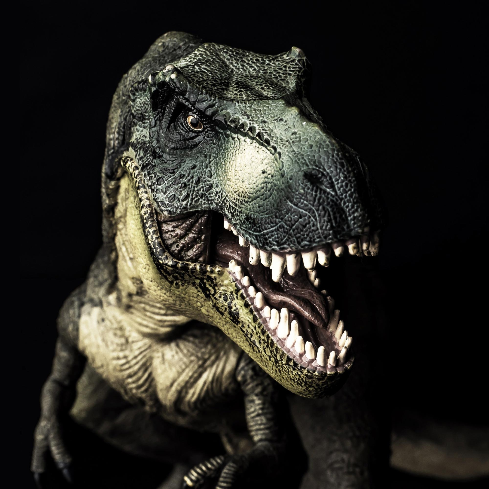 Paleontologists Stunning Conclusion 2 5 Billion T Rexes Roamed North 